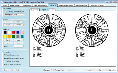 Iridology diagram open in the patient notes naturopath template