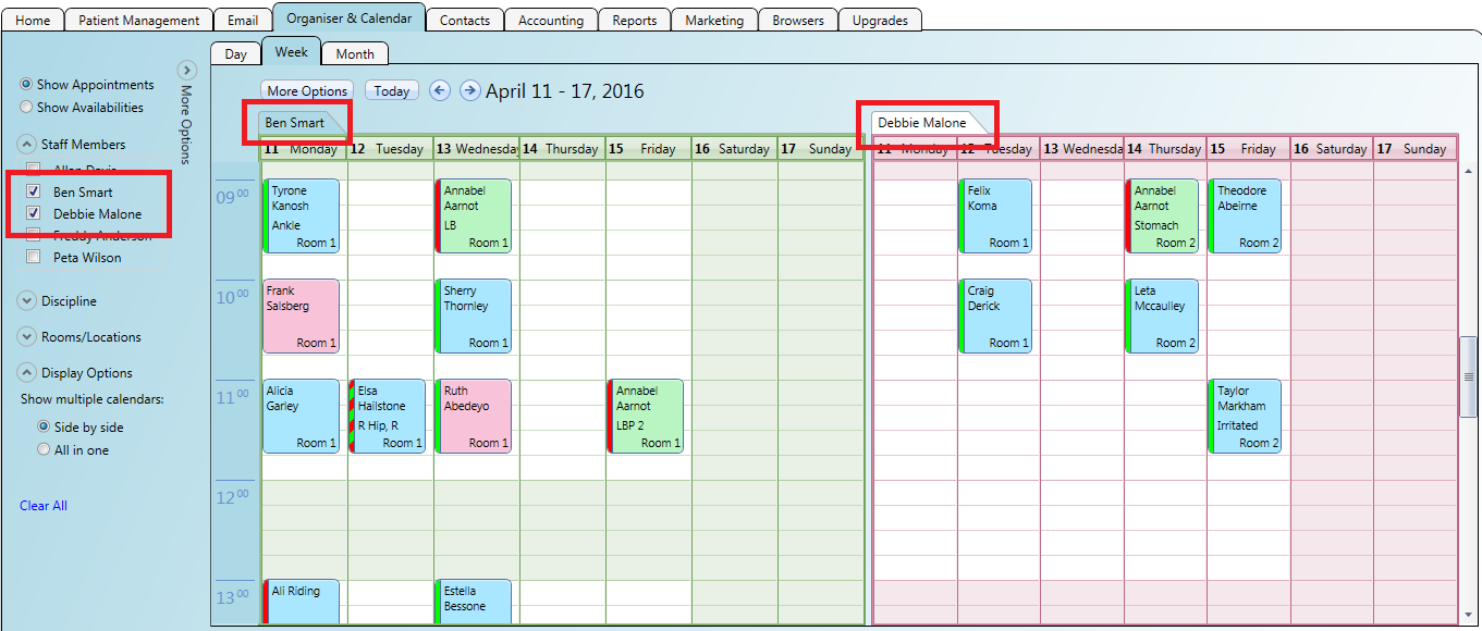 The main organiser and calendar showing appointments for multiple practitioners