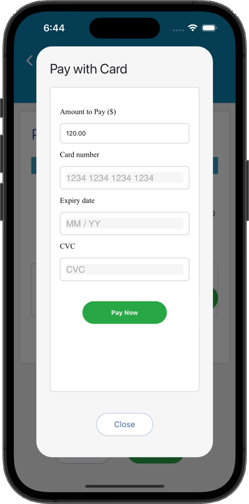 Card payment options within Practice Master Pro patient billing software